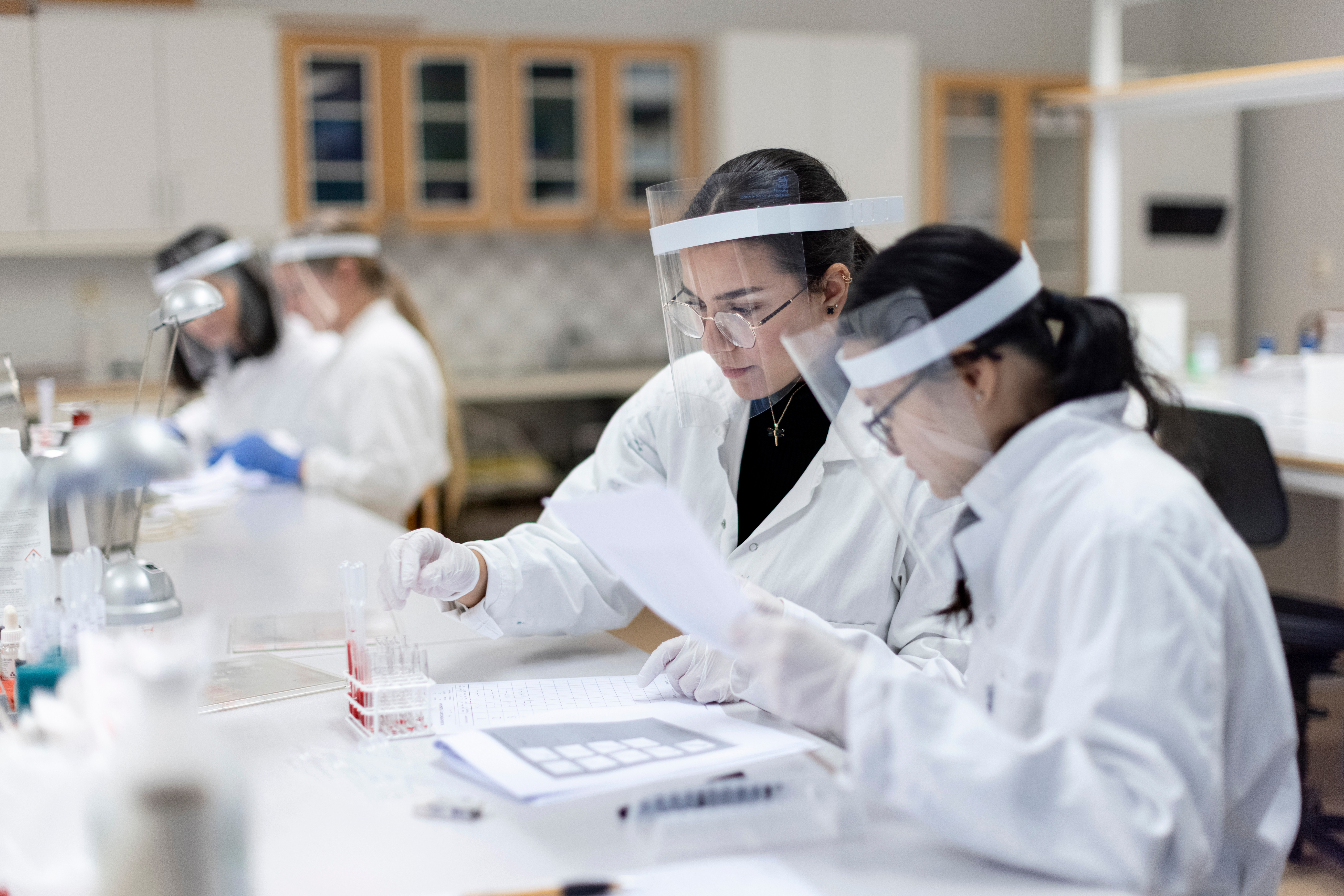 Research Assistant in Deep Neural Networks for Biomedical imaging at Neurone Lab