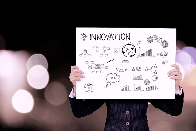 Internship programme at Centre for Social Innovation